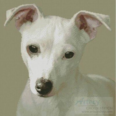 Miniature Jack Russell Terrier (Lynn Cameron)