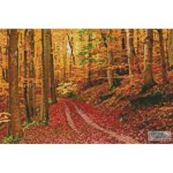 Mini Autumn Path (AVTG - Getty Images)