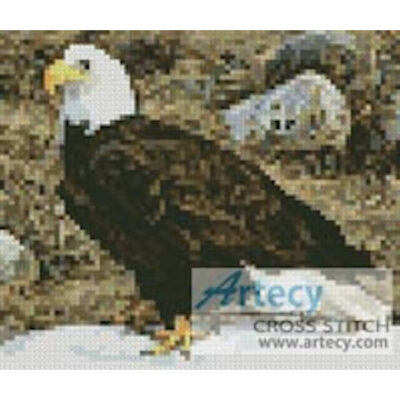 Mini Bald Eagle Photo (Tim Urbaniak)