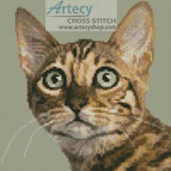 Mini Bengal Cat (Eric Isselee - Fotolia)