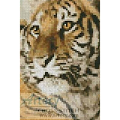 Mini Bengal Tiger Cub (www.photostogo.com)