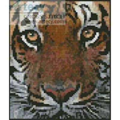 Mini Bengal Tiger Face (www.photorack.net)