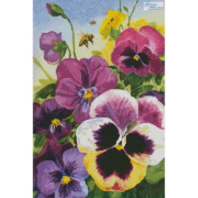 minibigboldpnsy_MED Mini Big Bold Pansy (Geoff Allen)