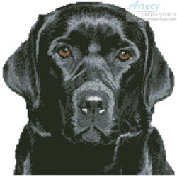 Mini Black Labrador (liandstudio - Fotolia)