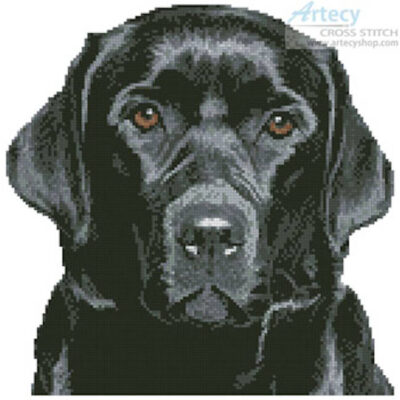 Mini Black Labrador (liandstudio - Fotolia)