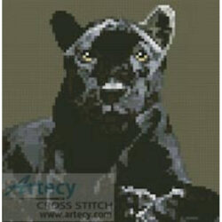 Mini Black Panther (Beltsazar - Fotolia)