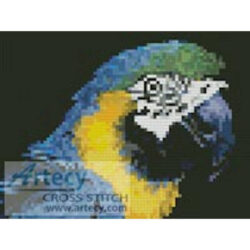 Mini Blue and Yellow Macaw (www.photostogo.com)
