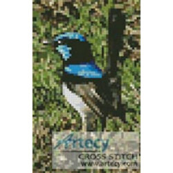 Mini Blue Wren (Jenny Rollo)
