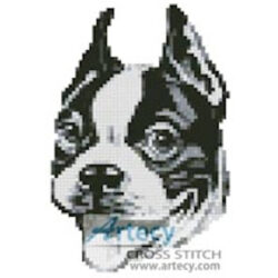 Mini Boston Terrier Drawing (http://www.iclipart.com)
