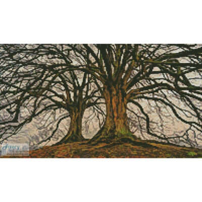 Mini Branching Out (Johannes Plenio)
