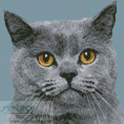Mini British Shorthair Cat (Jagodka - Fotolia)