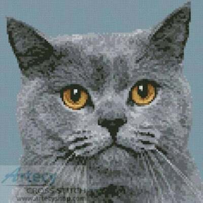 Mini British Shorthair Cat (Jagodka - Fotolia)