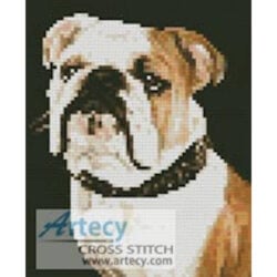 Mini Bulldog (www.photostogo.com)