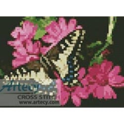 Mini Butterfly 3