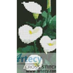 Mini Calla Lillies