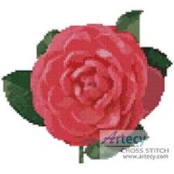 Mini Camellia 2 (P Gardner)