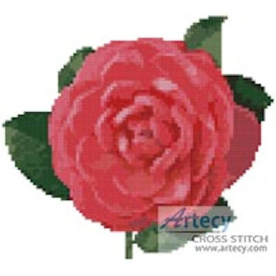Mini Camellia 2 (P Gardner)