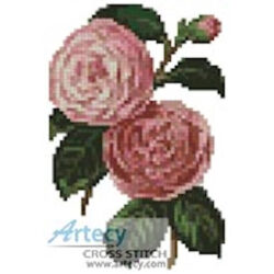 Mini Camellias 5