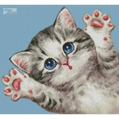 Mini Cat 49 (Kayomi Harai)