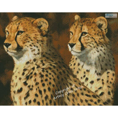 Mini Cheetah Brothers (David Stribbling)