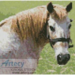 Mini Cleo the Pony