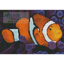 Mini Clownfish in Anemone (Terry Moore/ Stocktrek Images - Corbis)