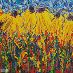 Mini Coneflower Chaos (Jeff Boutin)