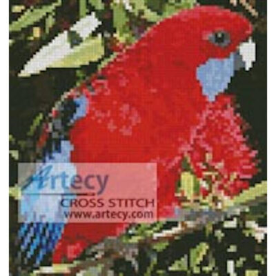 Mini Crimson Rosella (OzPhoto)