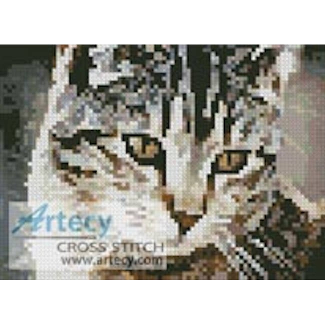 Mini Cute Cat (www.burningwell.org)