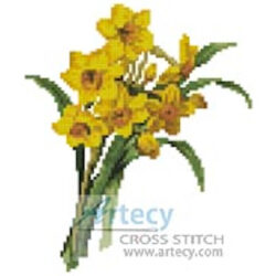 Mini Daffodils 2