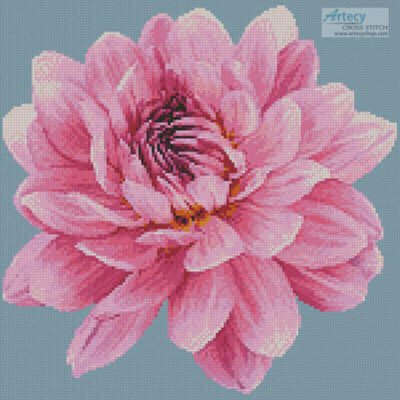 Mini Dahlia (Hansbenn - Pixabay)