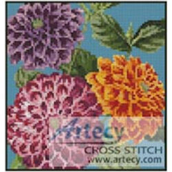 Mini Dahlias