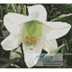 Mini Easter Lily (LadyofOz)