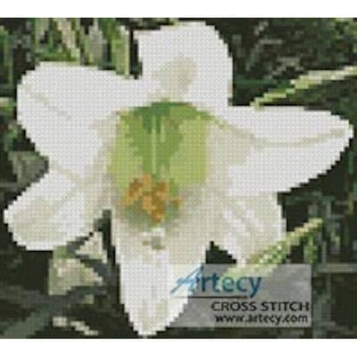 minieasterlily_MED Mini Easter Lily (LadyofOz)