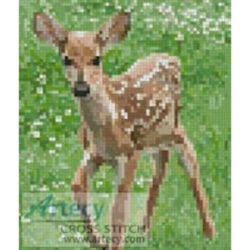 Mini Fawn (Tamera Rooney)