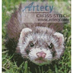 Mini Ferret (Delecrouix - Image Vortex)