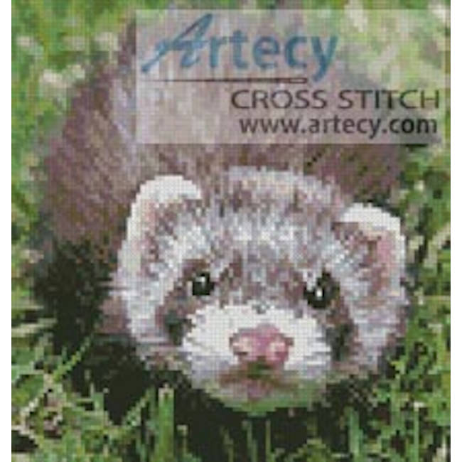 Mini Ferret (Delecrouix - Image Vortex)