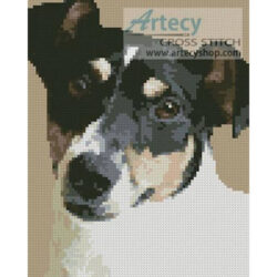 Mini Fox Terrier 2