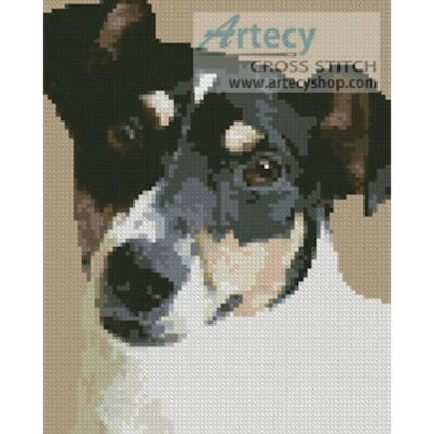 Mini Fox Terrier 2