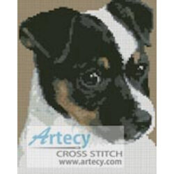 Mini Fox Terrier