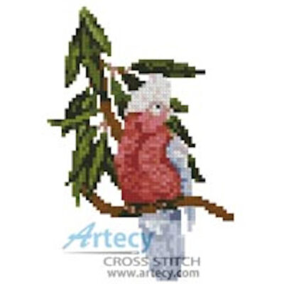 Mini Galah (Creek's Bend Country Retreat)