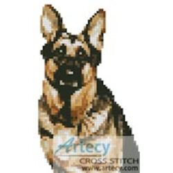 Mini German Shepherd