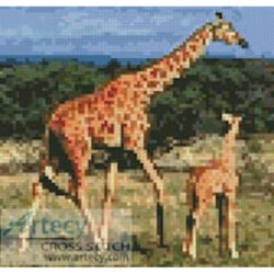 Mini Giraffes