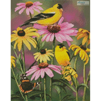 Mini Golden Finches (William Vanderdasson)