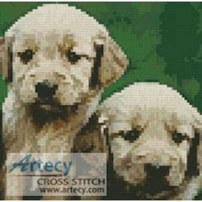 Mini Golden Retriever Puppies (www.liquidlibrary.com)