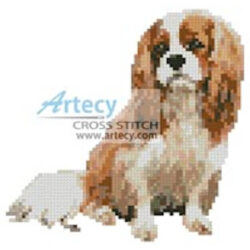Mini King Charles Cavalier
