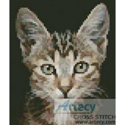 Mini Kitten Photo (www.photostogo.com)