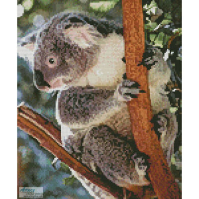 Mini Koala Photo (Sandid - Pixabay)