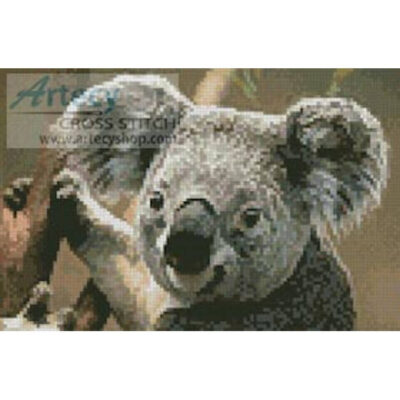 Mini Koala Portrait (Corbis)