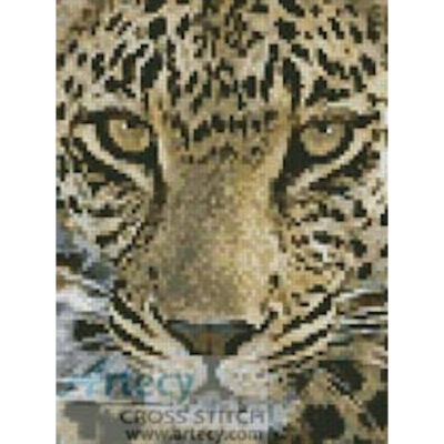 Mini Leopard Close Up (www.photostogo.com)